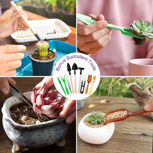 Kit de jardinería de 83 piezas, herramientas para suculentas y bonsáis, mango de aluminio resistente, incluye paleta, trasplantador, rastrillo, podadora y botella rociadora, para hogar y exterior, foto 4 de 4