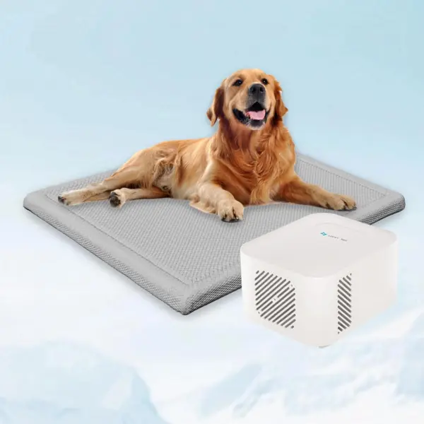 Alfombrilla refrigerante para perros y gatos con refrigeración constante, no necesita refrigeración previa ni gel químico, ideal para mantener a tu mascota fresca en los días calurosos del verano, foto 1 de 5