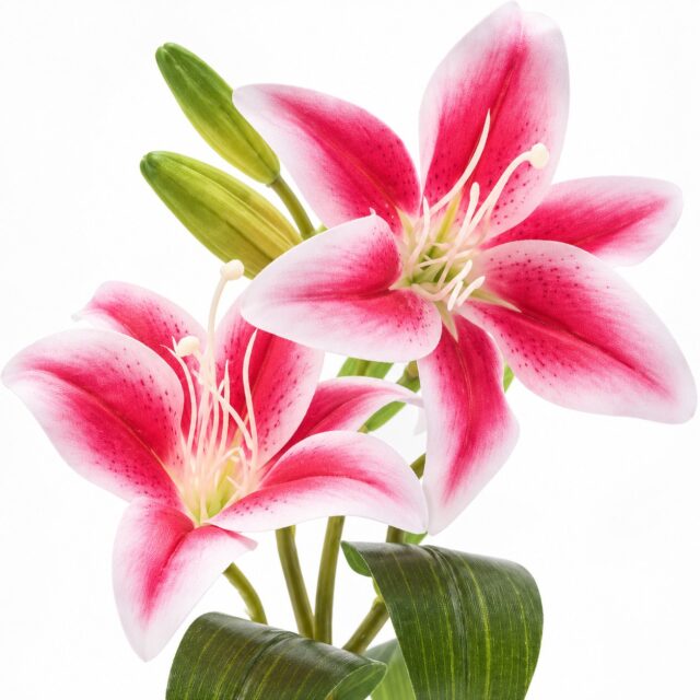 Arreglo de lirios artificiales rosa con hojas verdes en florero blanco acanalado de decoración, planta decorativa sin mantenimiento para sala, comedor o escritorio en espacios interiores, foto 4 de 4