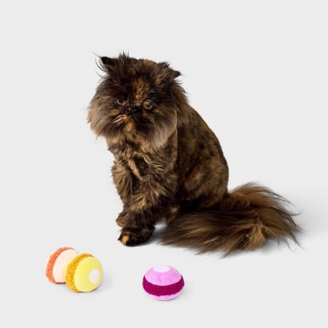 Peluches para gato tipo macaron Boots & Barkley, paquete de tres piezas desmontables con cierre de velcro y hierba gatera en el interior, en tres colores, para juego, mordidas y diversión de gatos, foto 1 de 3